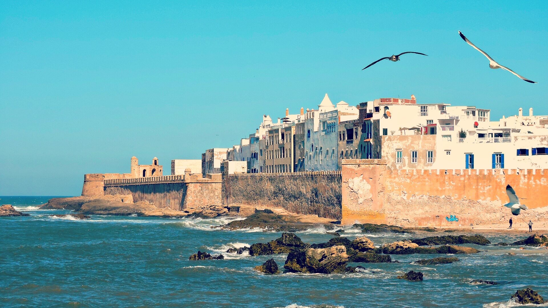 que visiter essaouira